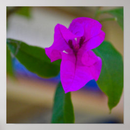 Roze ventilator - #2 poster