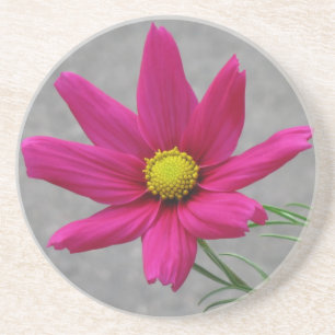 Roze ventilator aangepast onderzetter