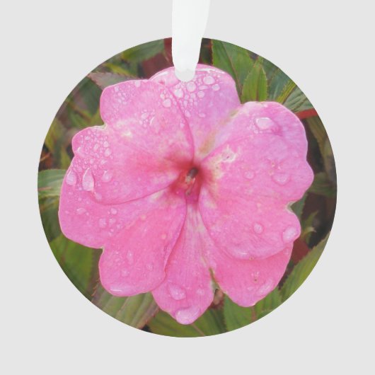 Roze ventilator aangepast ornament (voorkant)