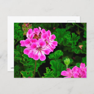 Roze ventilator briefkaart