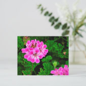 Roze ventilator briefkaart (Staand voorkant)