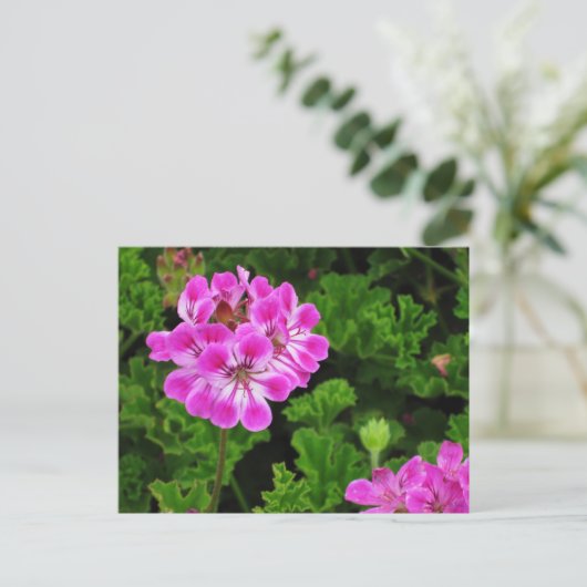 Roze ventilator briefkaart (Staand voorkant)