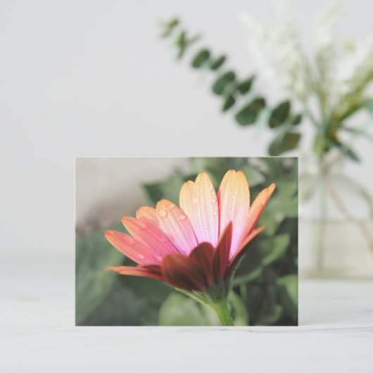 Roze ventilator briefkaart (Staand voorkant)