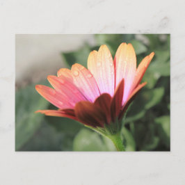 Roze ventilator briefkaart