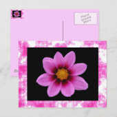 Roze ventilator Briefkaart (Voorkant / Achterkant)