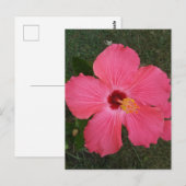 Roze ventilator Briefkaart (Voorkant / Achterkant)