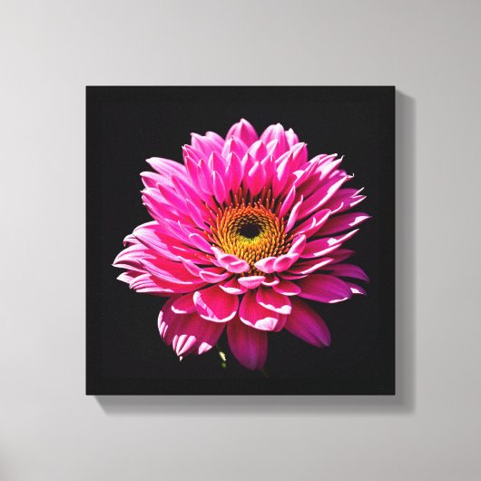 Roze ventilator canvas afdruk (Voorkant)