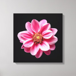 Roze ventilator canvas afdruk