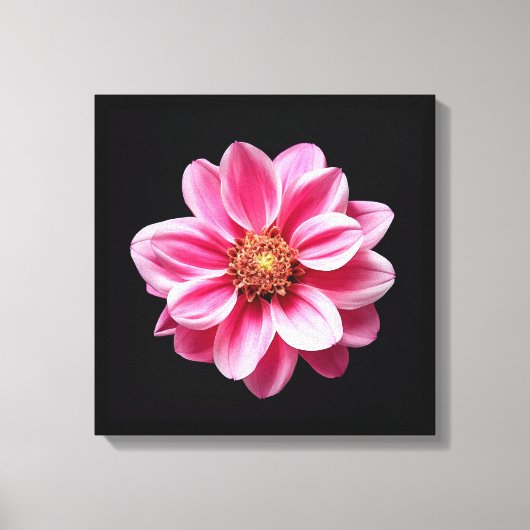 Roze ventilator canvas afdruk (Voorkant)