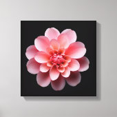 Roze ventilator canvas afdruk (Voorkant)