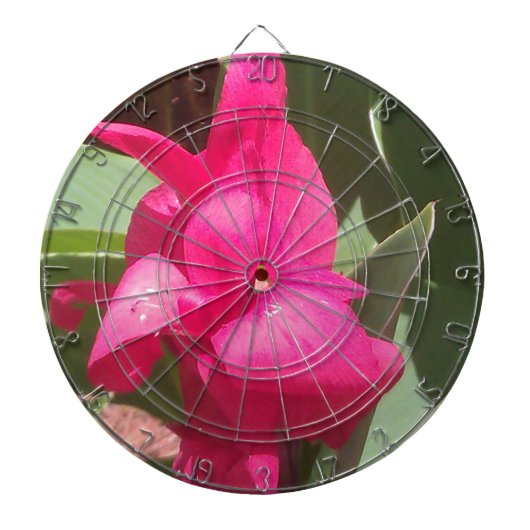 Roze ventilator dartbord (Voorkant)