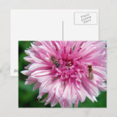 Roze ventilator en buisjes briefkaart (Voorkant / Achterkant)