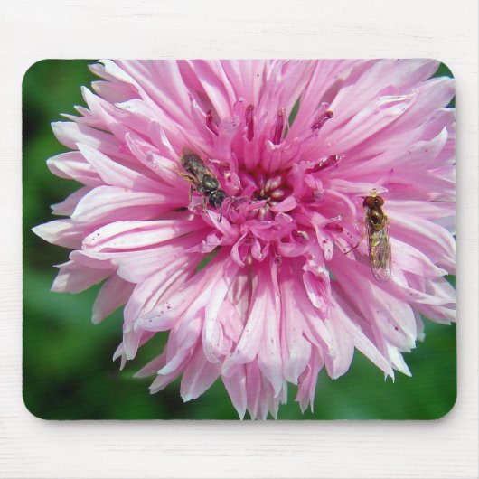 Roze ventilator en insecten muismat (Voorkant)