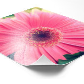 Roze ventilator foto afdruk (Hoek)