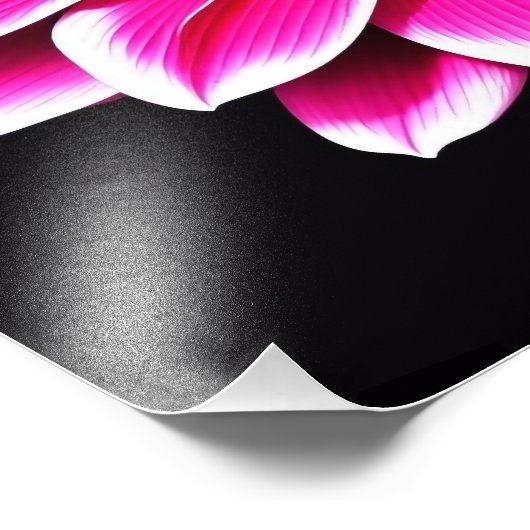 Roze ventilator foto afdruk (Hoek)