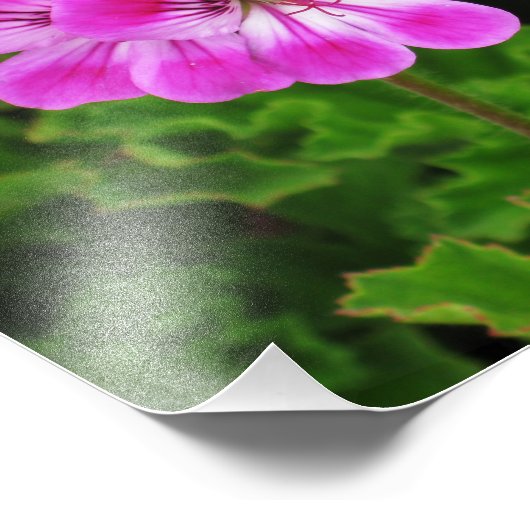 Roze ventilator - foto afdruk (Hoek)