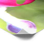 Roze ventilator poster (Hoek)