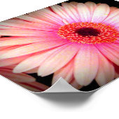 Roze ventilator poster (Hoek)