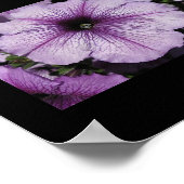 Roze ventilator poster (Hoek)