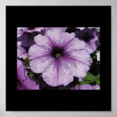 Roze ventilator poster (Voorkant)