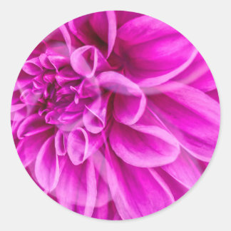 Roze ventilator ronde sticker