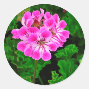 Roze ventilator ronde sticker