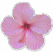 Roze ventilator sticker (Voorkant)