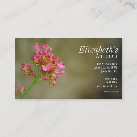 Roze ventilator Visitekaartje (Voorkant)