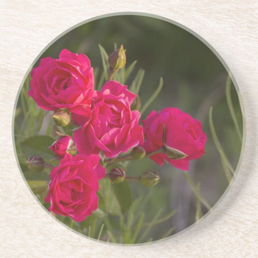 Roze ventilator zandsteen onderzetter (Voorkant)