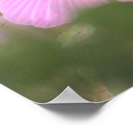 Roze ventilatorfoto-Poster Poster (Hoek)