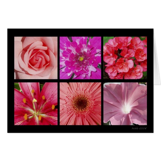 Roze ventilatorkaart (Voorkant Horizontaal)