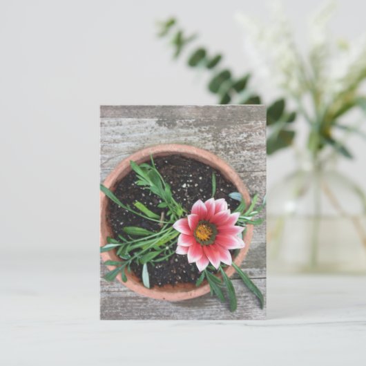 Roze ventilatorkaart kaart (Staand voorkant)