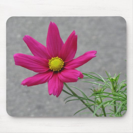 Roze ventilatormousepad muismat (Voorkant)
