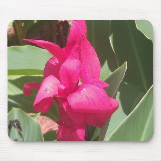 Roze ventilatorMuismat Muismat (Voorkant)