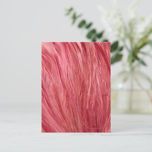 Roze veren briefkaart (Staand voorkant)