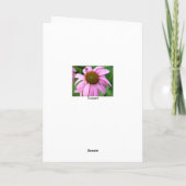 Roze Verjaardag Coneflower Kaart (Achterkant)
