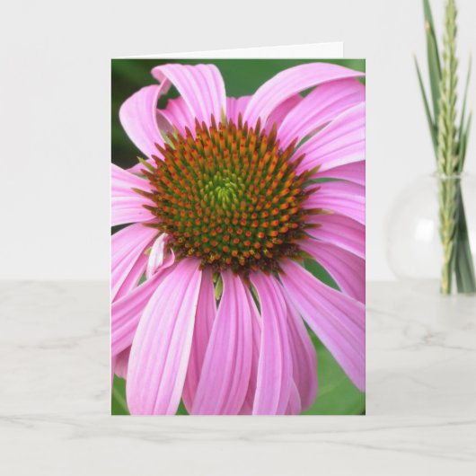Roze Verjaardag Coneflower Kaart (Voorkant)