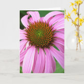 Roze Verjaardag Coneflower Kaart (Gele Bloem)