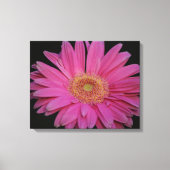 Roze Verpakt Canvas (Voorkant)