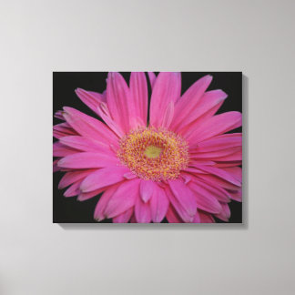 Roze Verpakt Canvas Afdruk