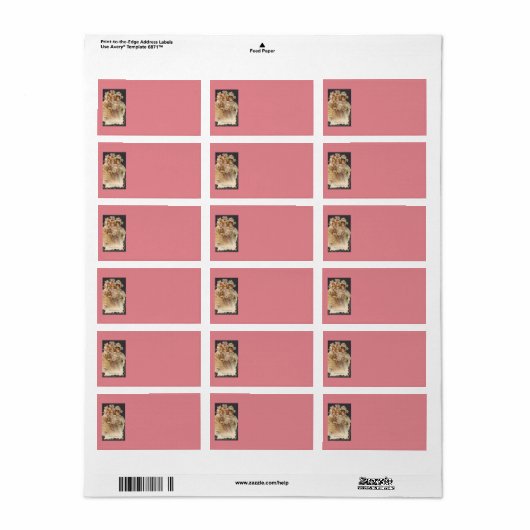 Roze Victoriaans kerstAdresetiketten Etiket (Full Sheet)