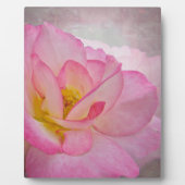Roze Victoriaans Roos Fotoplaat (Voorkant)