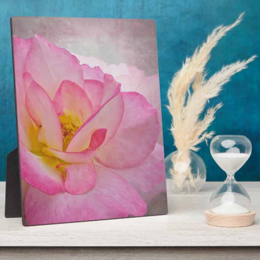 Roze Victoriaans Roos Fotoplaat (Zijkant)
