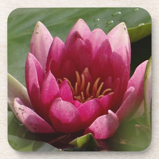Roze vierkant bier onderzetter (Voorkant)