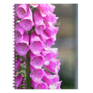 Roze Vingerhoedskruid Bloemen (mijn fotografie) Notitieboek
