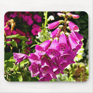 Roze vingerhoedskruid bloemen muismat