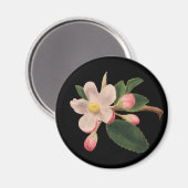 Roze Vintage Bloesem Magneet (Voorkant / Achterkant)