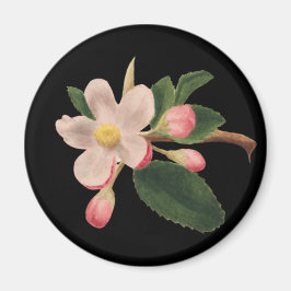 Roze Vintage Bloesem Magneet