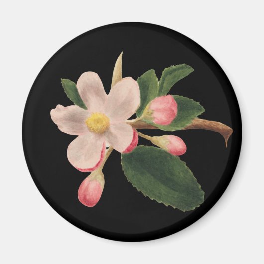 Roze Vintage Bloesem Magneet (Voorkant)