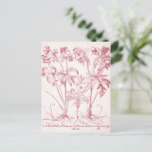 Roze Vintage Botanische Kunst Briefkaart (Staand voorkant)
